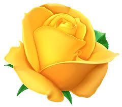 Texas Home Exteriors Yellow Rose Of Texas Financing Option 