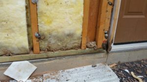 fiber cement siding gaps and bugs intrusion image fiber cement siding gaps and bugs intrusion